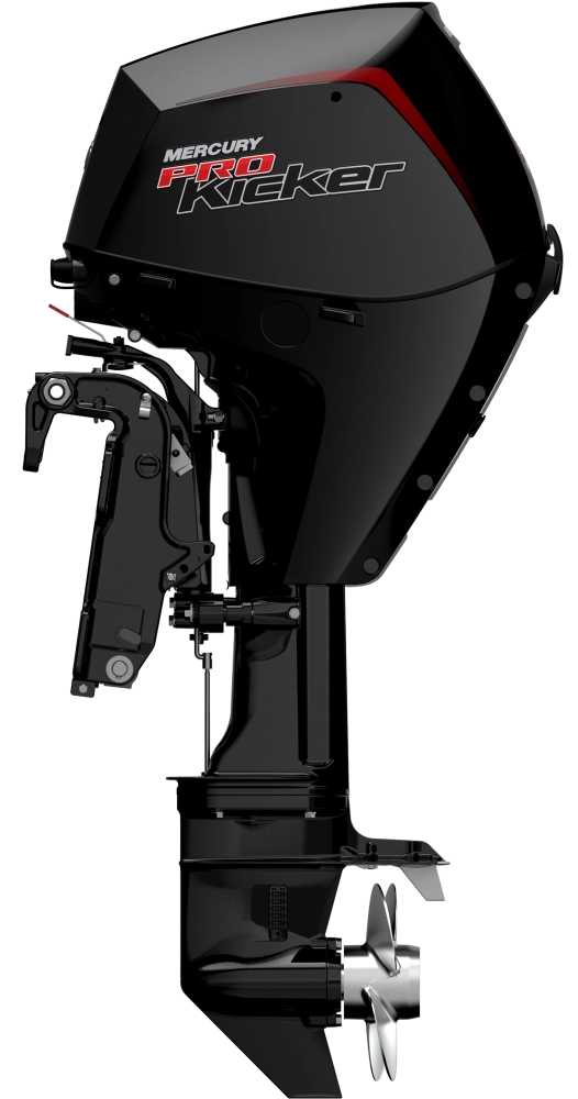 Motore FourStroke 25hp ProKicker