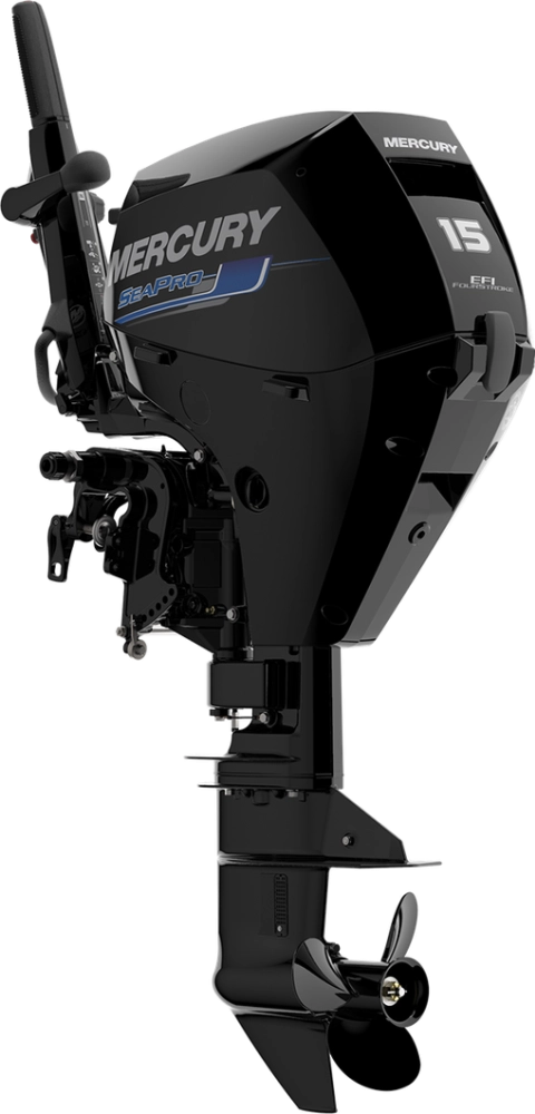 Motore SeaPro F15hp